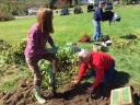 Harvest 15.jpg - 